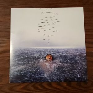 Shawn mendes vinyl